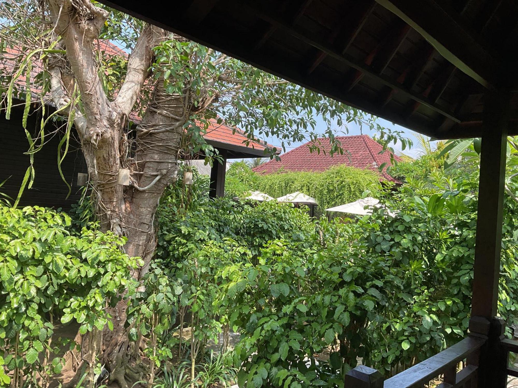 Bunutbali Villas88 Lembongan Exterior foto